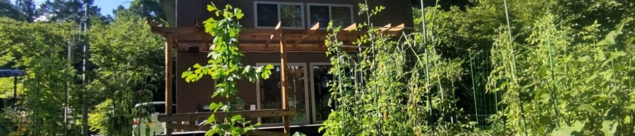 Le cabanon　小さな休暇小屋へ